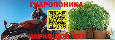 наркотики Заводоуковск