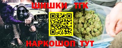 индика Дубна