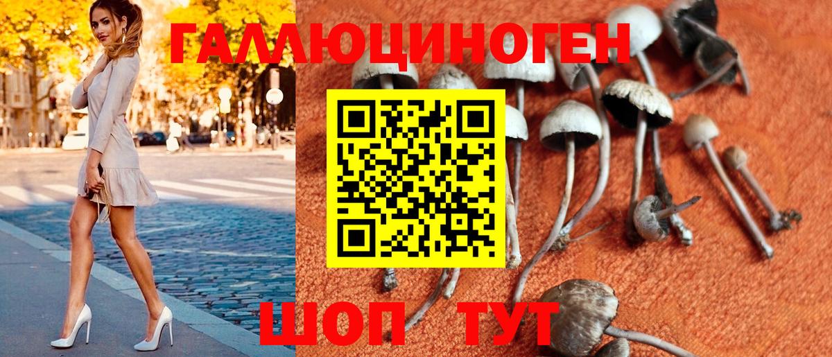 наркошоп  Вход с VPN  Псилоцибиновые грибы Magic Shrooms  Мичуринск  Псилоцибиновые грибы мухоморы 